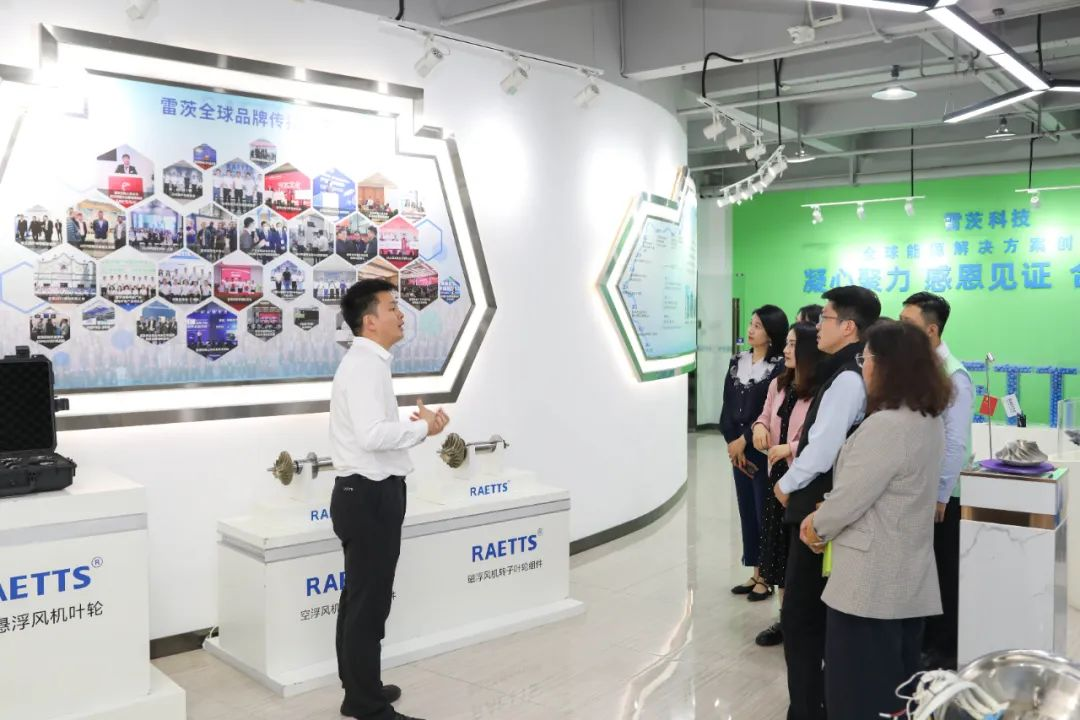 1732266874513990.jpg 1732266867842.jpg