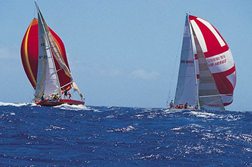 �P�ڽ��N����Ո���Y��Ҫ���f��