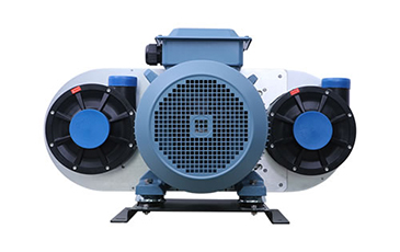 �F���L�C�г�Ҋ�Ďׂ��NY�����c