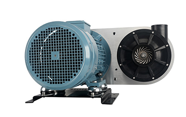 ���ٳ����L�C��Ƥ����Ҫ��ø��Qһ��