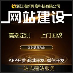 杭州app定制 微信小程序 網站建設